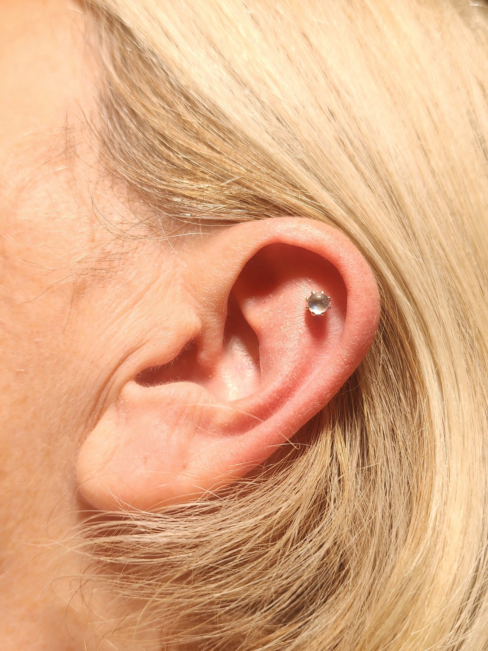 Ear curation special-3
