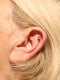 Ear curation special