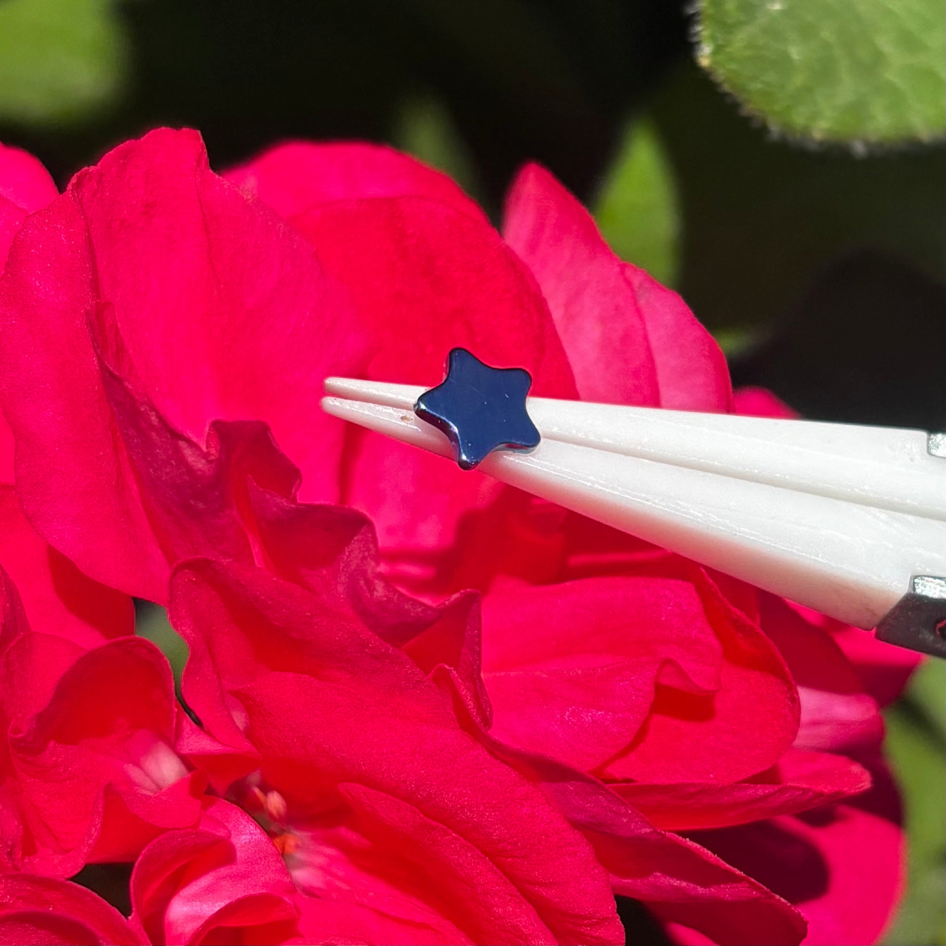 Titanium Star shaped Threadless earrings-3