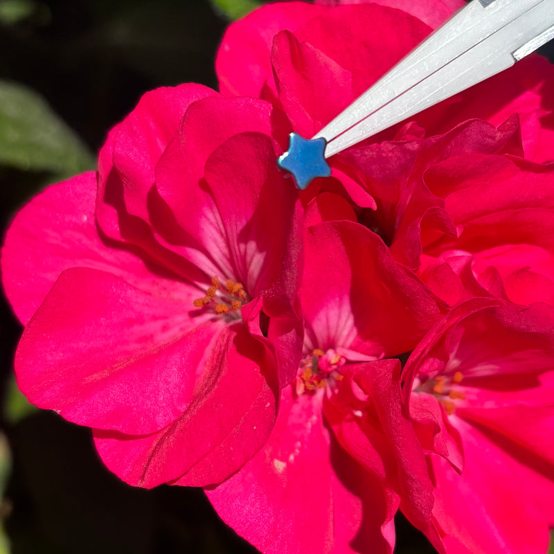 Titanium Star shaped Threadless earrings-4