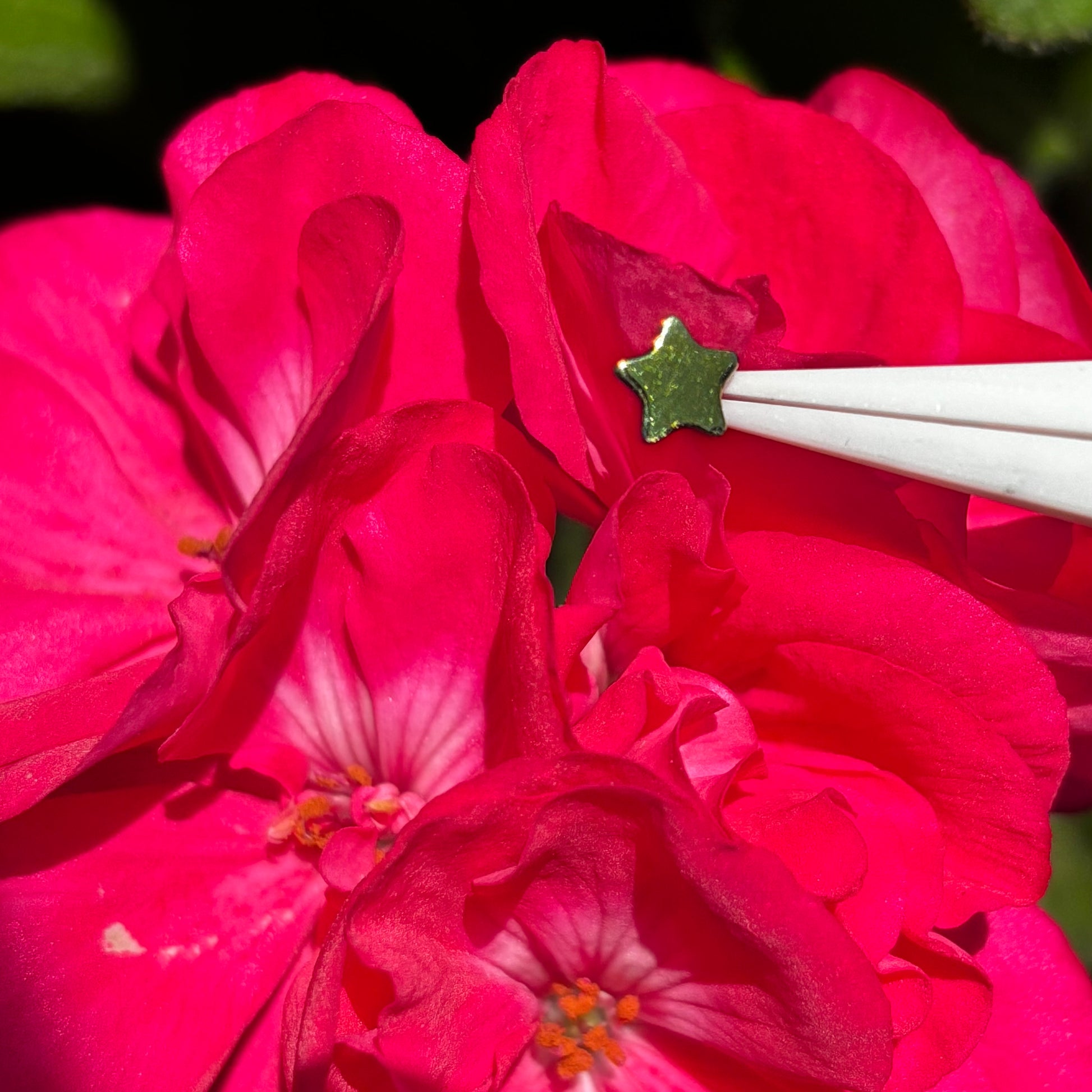 Titanium Star shaped Threadless earrings-5