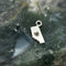 Alberta silver charm