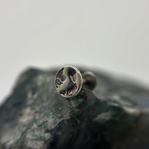 Silver threadless earth  end