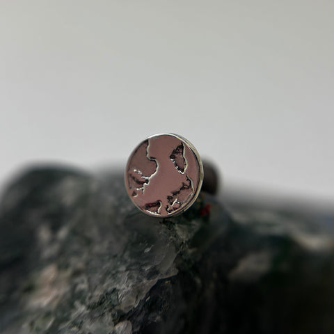 Silver threadless earth  end