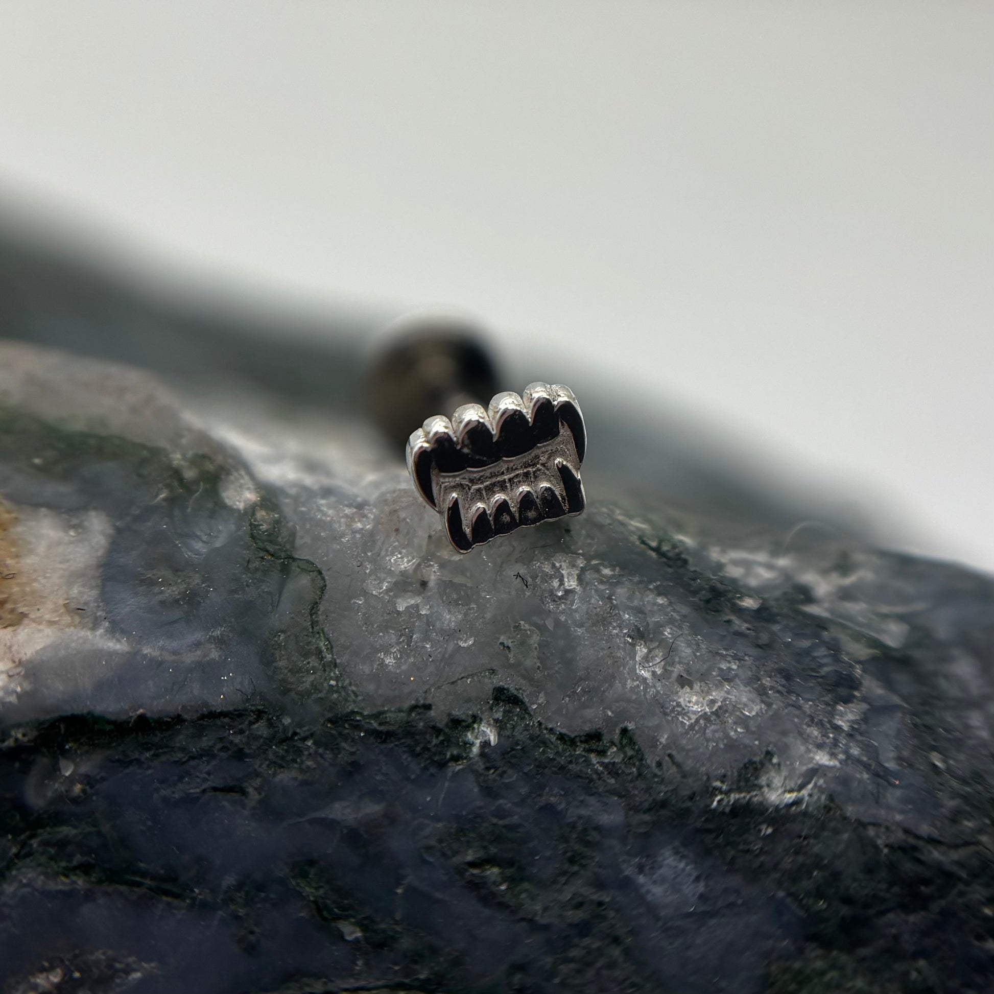 Limited Edition Silver Vampire Fang - For healed piercings-3