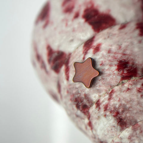 Titanium Star shaped Threadless earrings