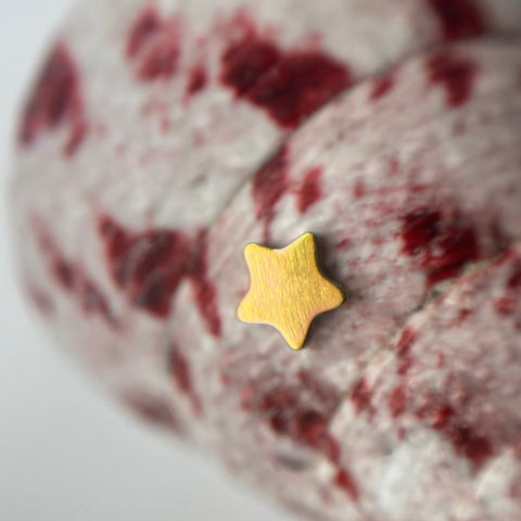 Titanium Star shaped Threadless earrings