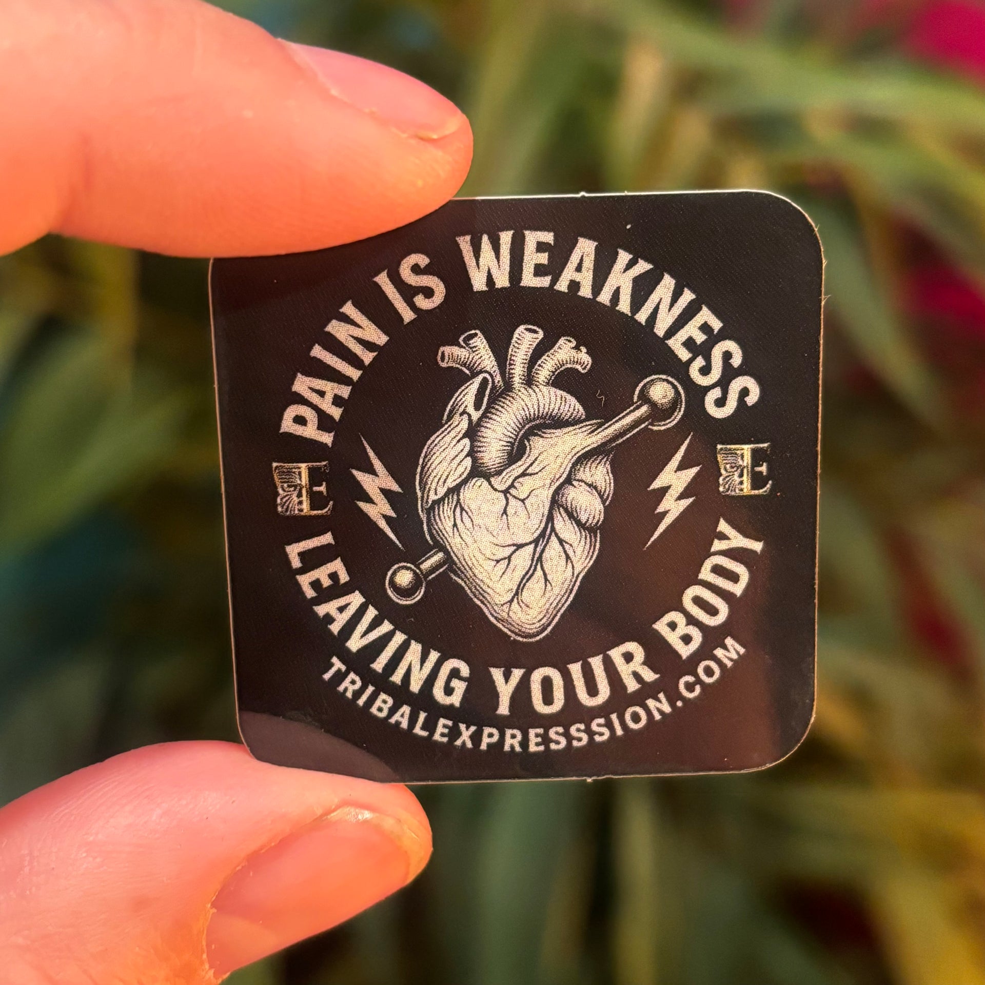 Sticker -Pain is Weakness